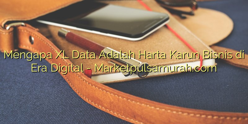 Mengapa XL Data Adalah Harta Karun Bisnis di Era Digital