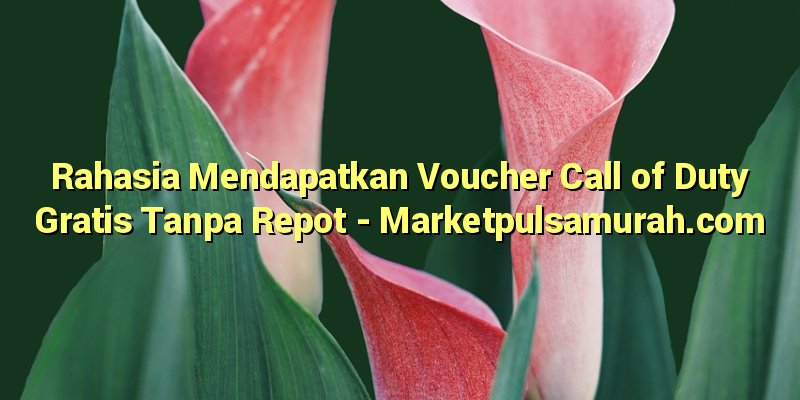 Rahasia Mendapatkan Voucher Call of Duty Gratis Tanpa Repot