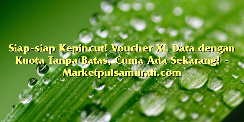 Siap-siap Kepincut! Voucher XL Data dengan Kuota Tanpa Batas, Cuma Ada Sekarang!