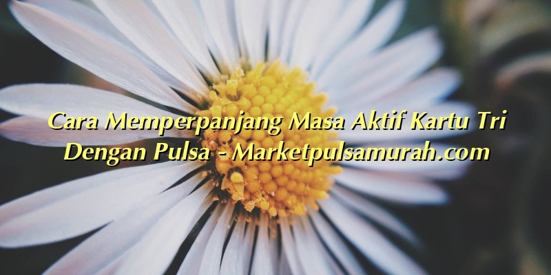 Cara Memperpanjang Masa Aktif Kartu Tri Dengan Pulsa