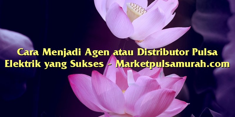 Cara Menjadi Agen atau Distributor Pulsa Elektrik yang Sukses