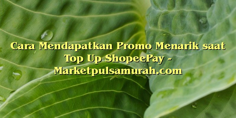 Cara Mendapatkan Promo Menarik saat Top Up ShopeePay